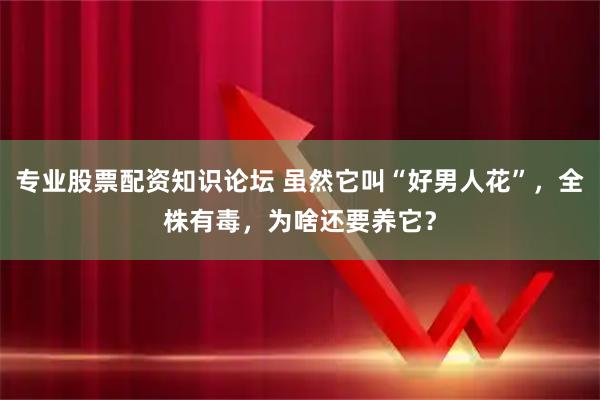 专业股票配资知识论坛 虽然它叫“好男人花”，全株有毒，为啥还要养它？